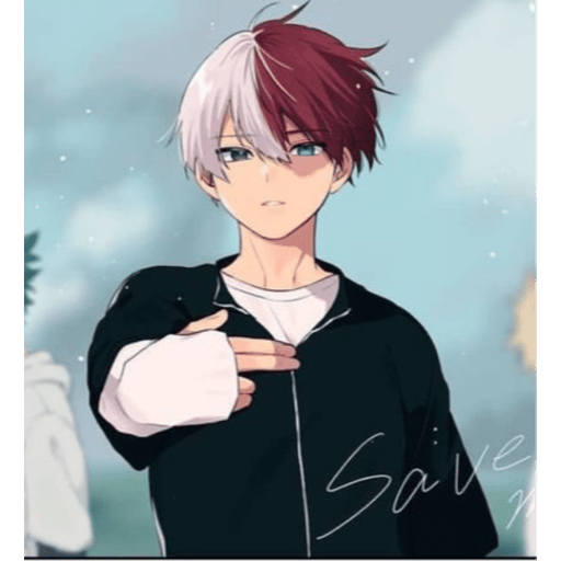 Todoroki  16