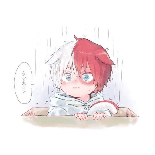Todoroki  24