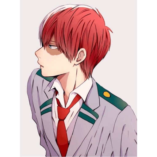 Todoroki  8