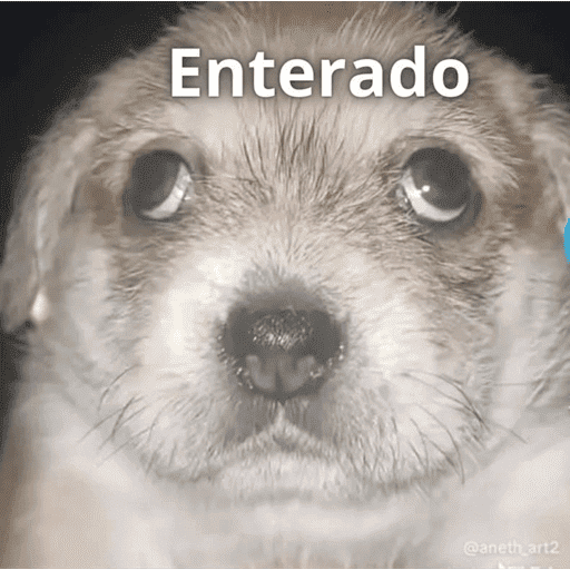 Jeje 12