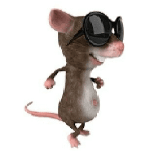 Skibidicucurella 18