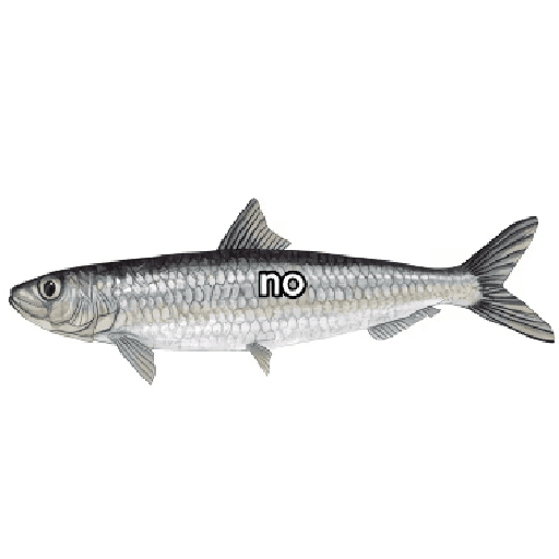 Skibidicucurella 2