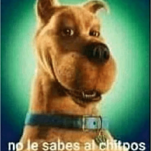 Stickers Chipiados 2.9