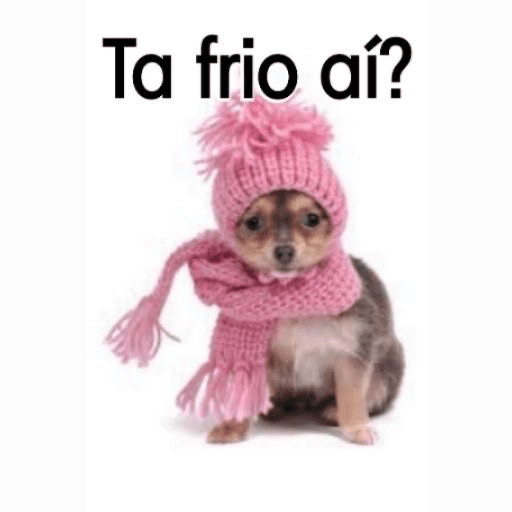 FRIO 🥶 12