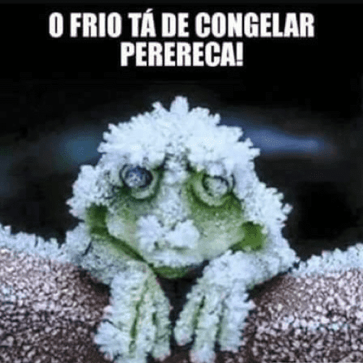 FRIO 🥶 9
