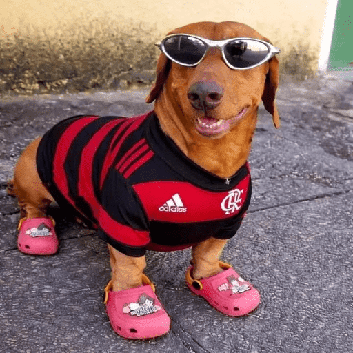 FLAMENGO  7
