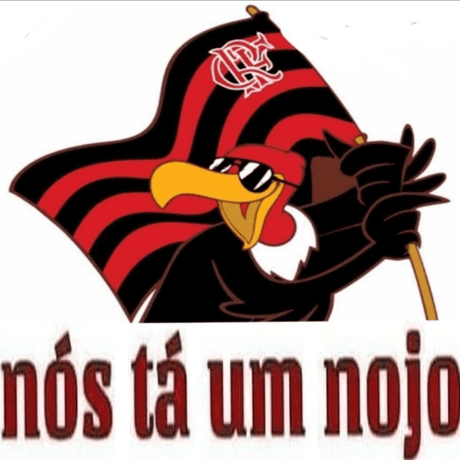 FLAMENGO  12