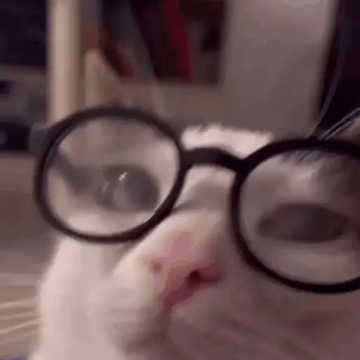 Կպչուն պիտակ