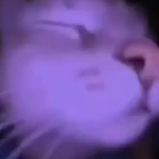 Կպչուն պիտակ