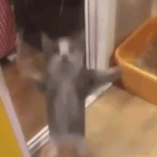 Կպչուն պիտակ