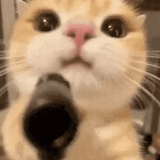 Կպչուն պիտակ