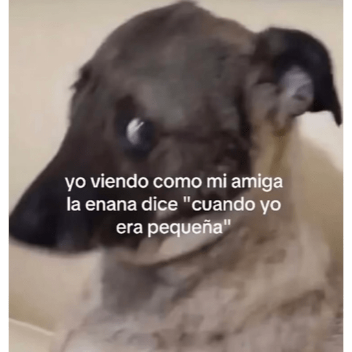222 15