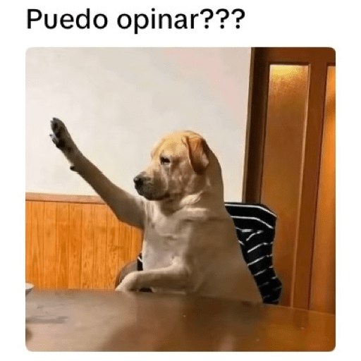 222 19