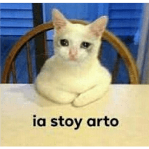 Gatos con frases