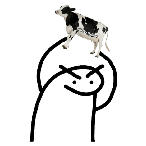 Flork 20
