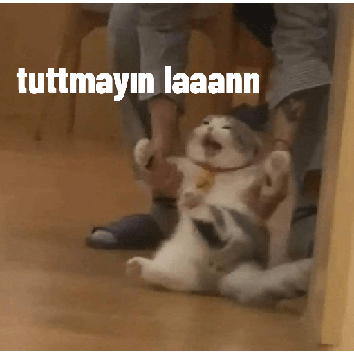 สติกเกอร์ 2