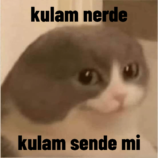 Allah kurtarsin kardes