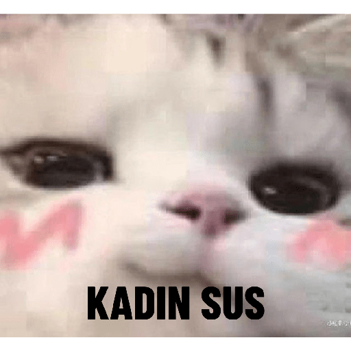 สติกเกอร์ 12