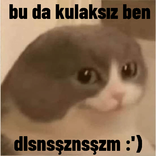 สติกเกอร์ 24