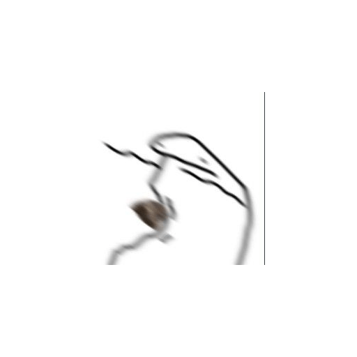 Florck 5 29
