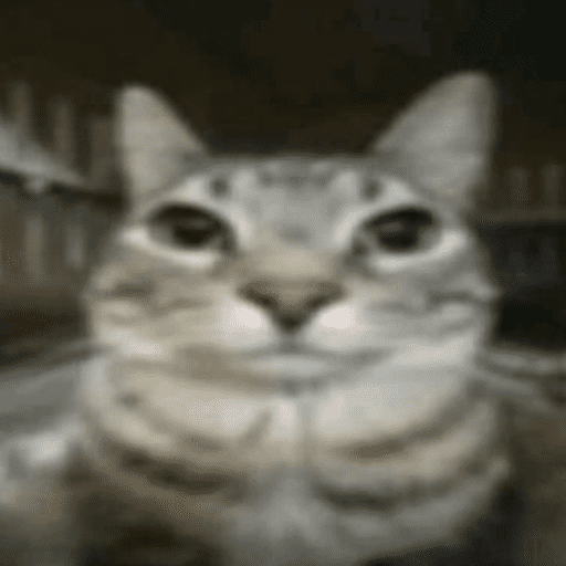 3c12996a-4754-4d5a-bfb8-0dd06fdfa51a.png