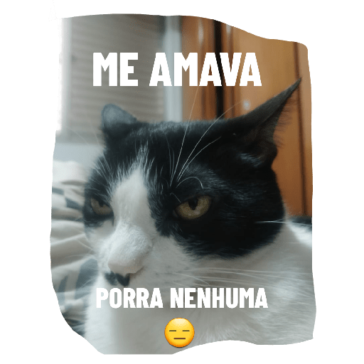 Migas 4