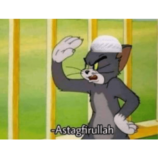 Apa aja 14