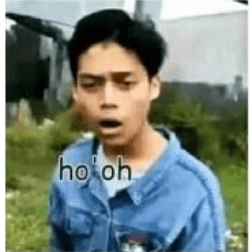 Apa aja 28