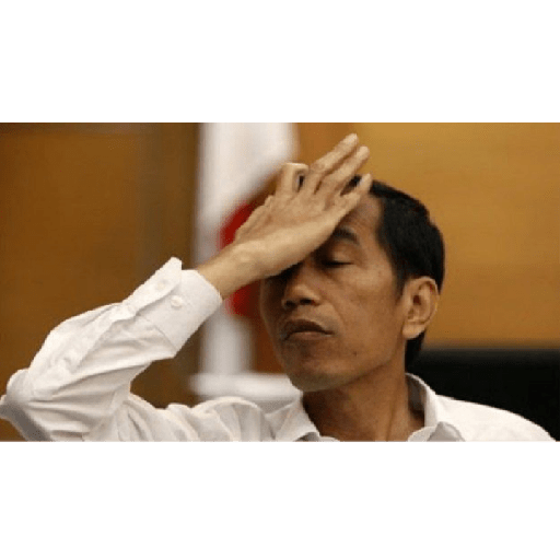 Apa aja 23