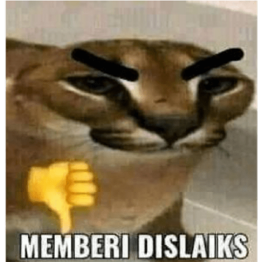 Apa aja 26