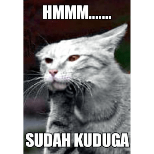 Apa aja 30