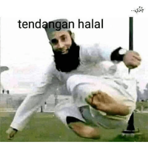 Apa aja 11