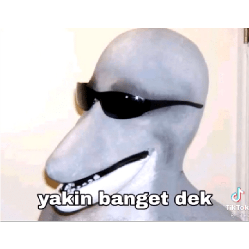 Apa aja 4