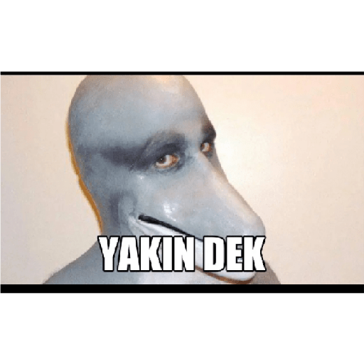 Apa aja 3