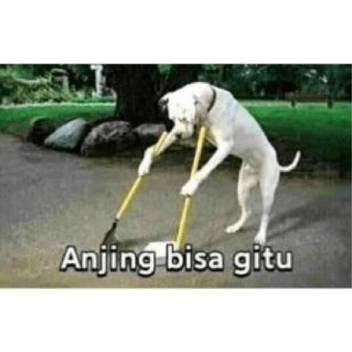 Siapa saja boleh 12