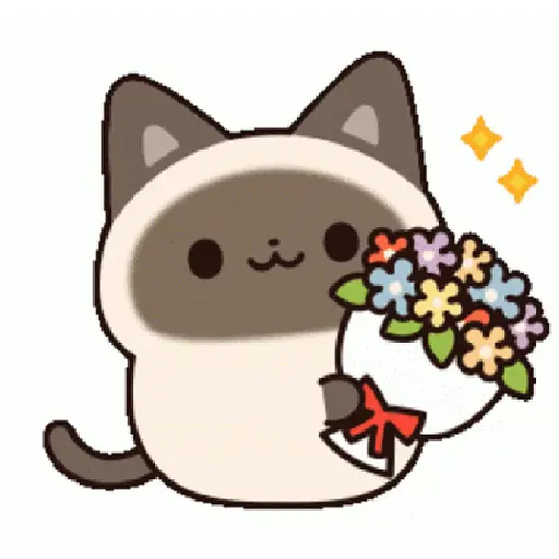 🐱🤩🥰