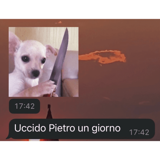 Cazzeggio 22
