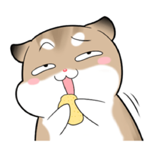 Hamsters Funny 12