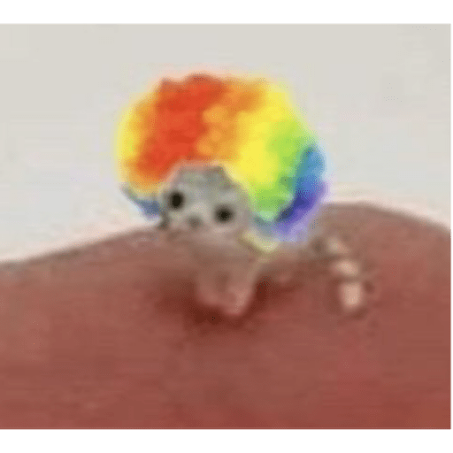 I love cats 19