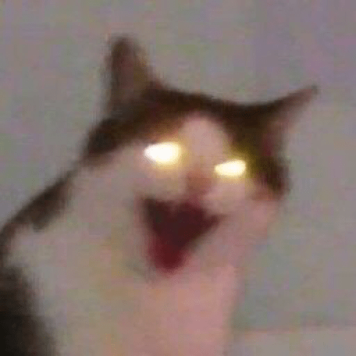 I love cats 28