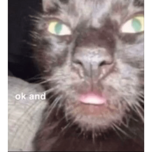 I love cats 17