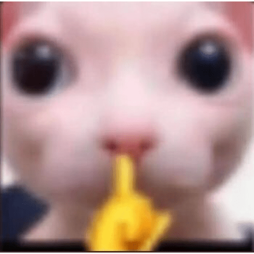 I love cats 7