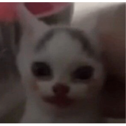 I love cats 18