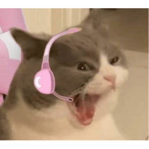 I love cats 4