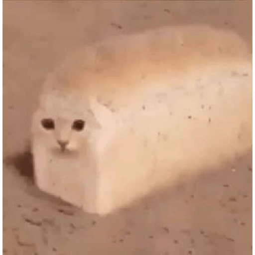 I love cats 27