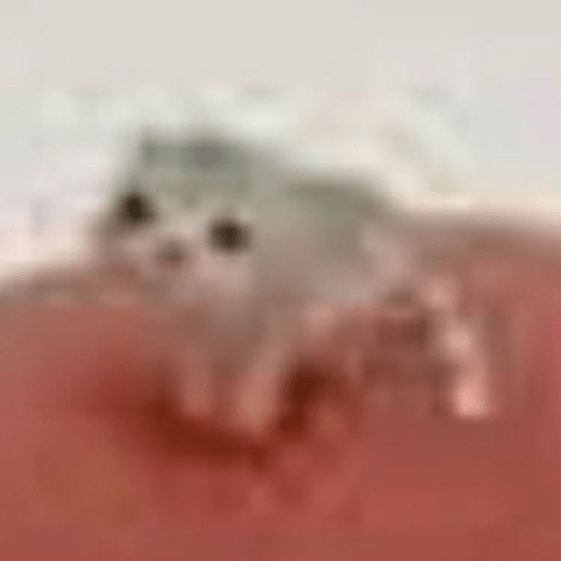 I love cats 23