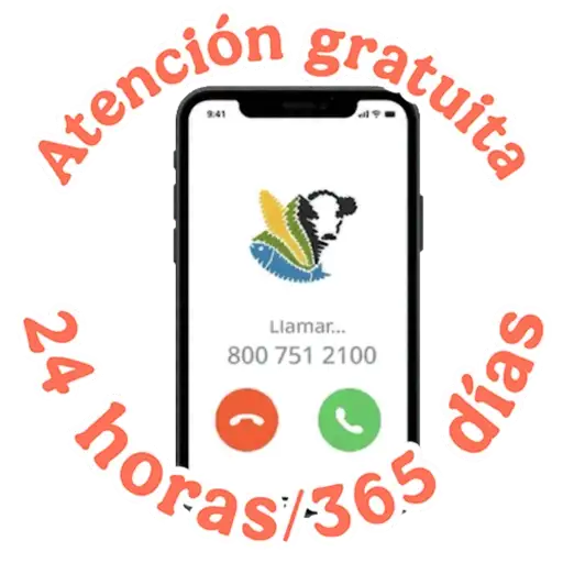 GBG MASCOTAS  1