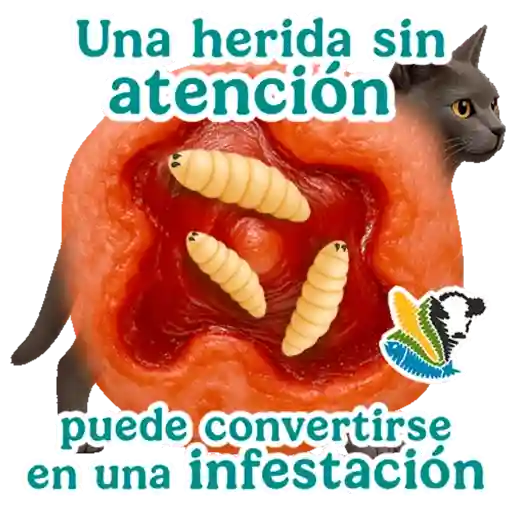 GBG MASCOTAS  5