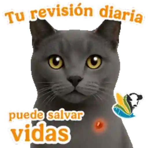 GBG MASCOTAS  3