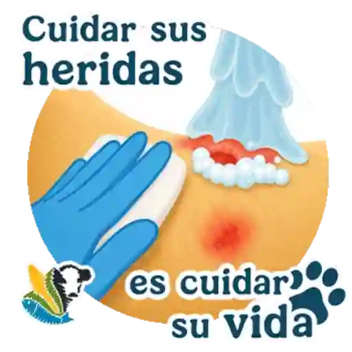 GBG MASCOTAS  7